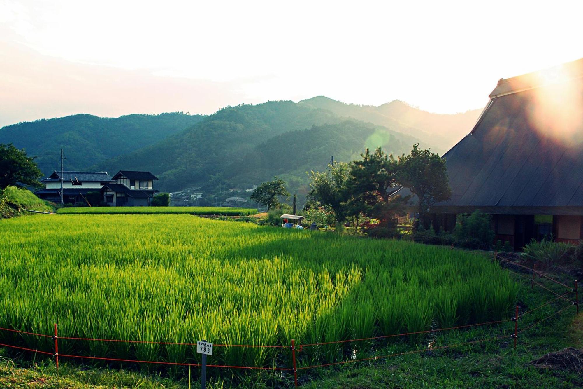 古民家の宿 ふるま家 Furumaya House Gastronomic Farmstay In Deep Kyoto Fukuchiyama Zewnętrze zdjęcie